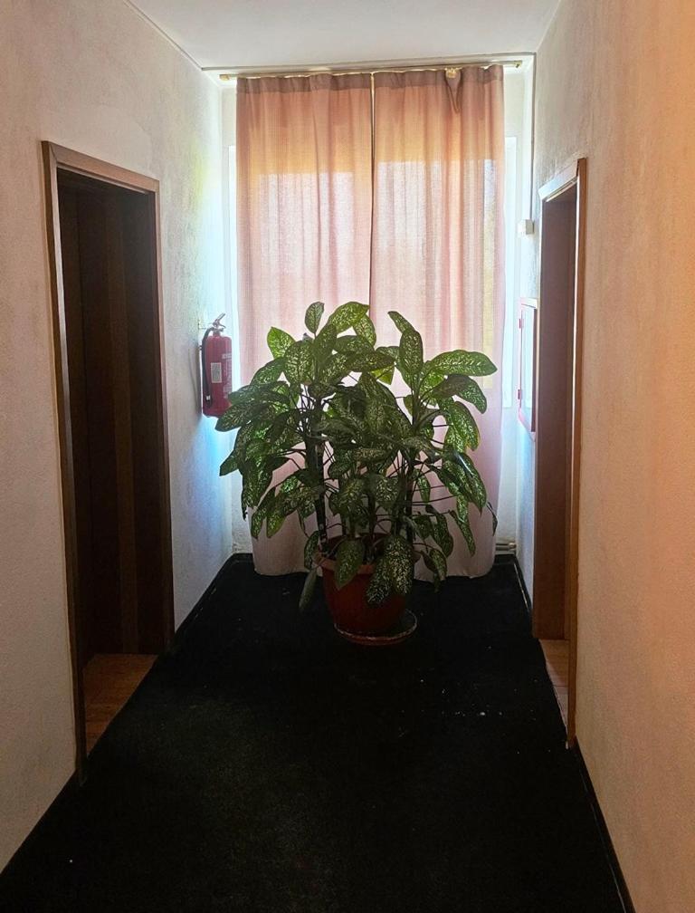 Casablanca Hostel Κραϊόβα Εξωτερικό φωτογραφία